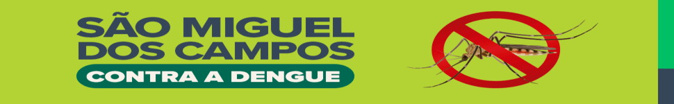 SAO MIGUEL (DENGUE)